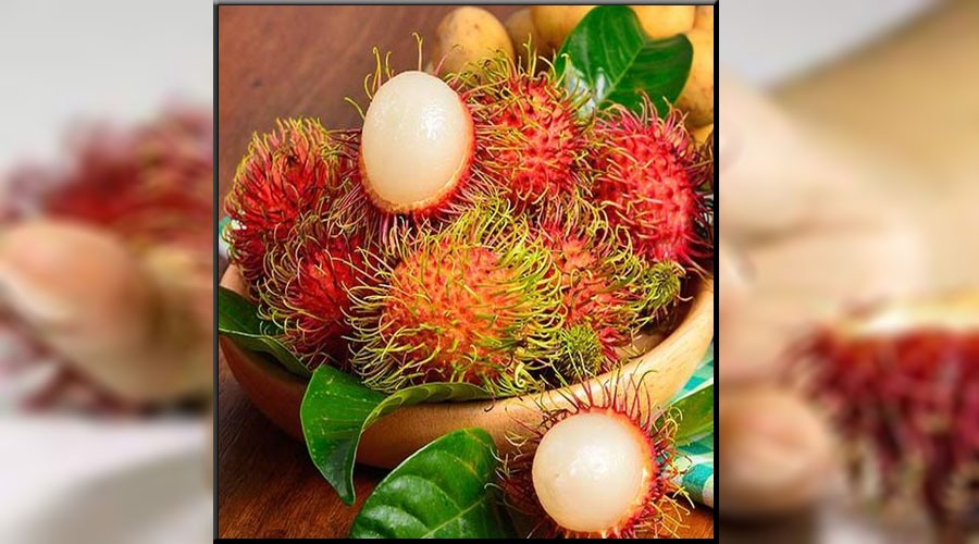 Efek Samping Rambutan Jika Terlalu Banyak Dikonsumsi