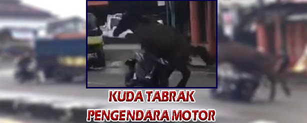 KUDA TABRAK PENGENDARA MOTOR VIRAL DI MEDIA SOSIAL