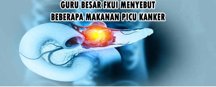 Guru Besar FKUI Menyebut Beberapa Makanan Picu Kanker