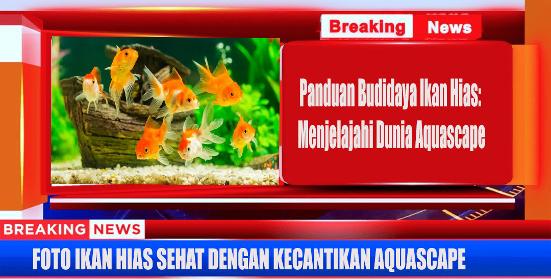 Panduan Budidaya Ikan Hias: Menjelajahi Dunia Aquascape