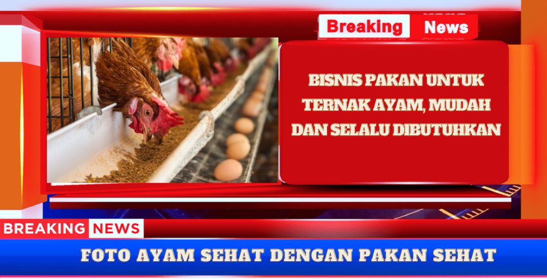 Bisnis Untuk Industri Peternakan Ayam, Mudah & Profit