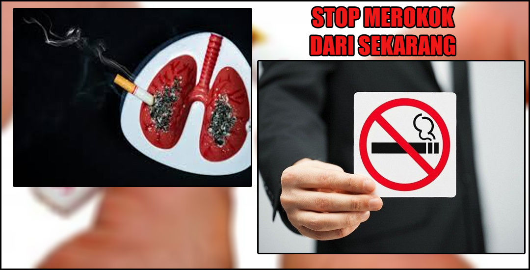 Bahaya Merokok Ancaman Serius Kesehatan Dan Lingkungan