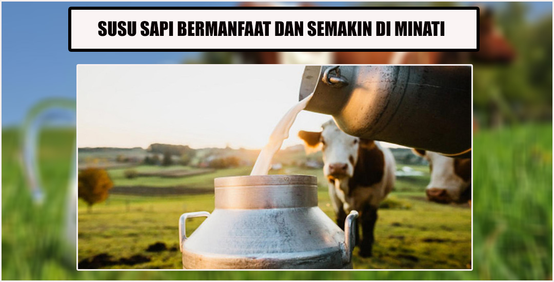 Peminat Susu Meningkat!! Berikut Manfaat Konsumsi Susu Sapi