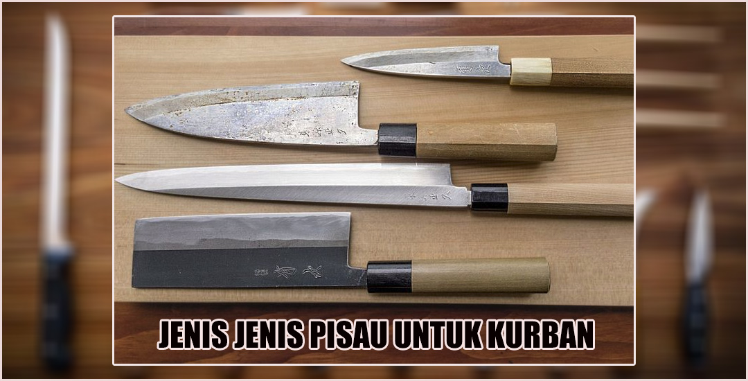 Mengenal Jenis-Jenis Pisau Sembelih untuk Kurban Sapi