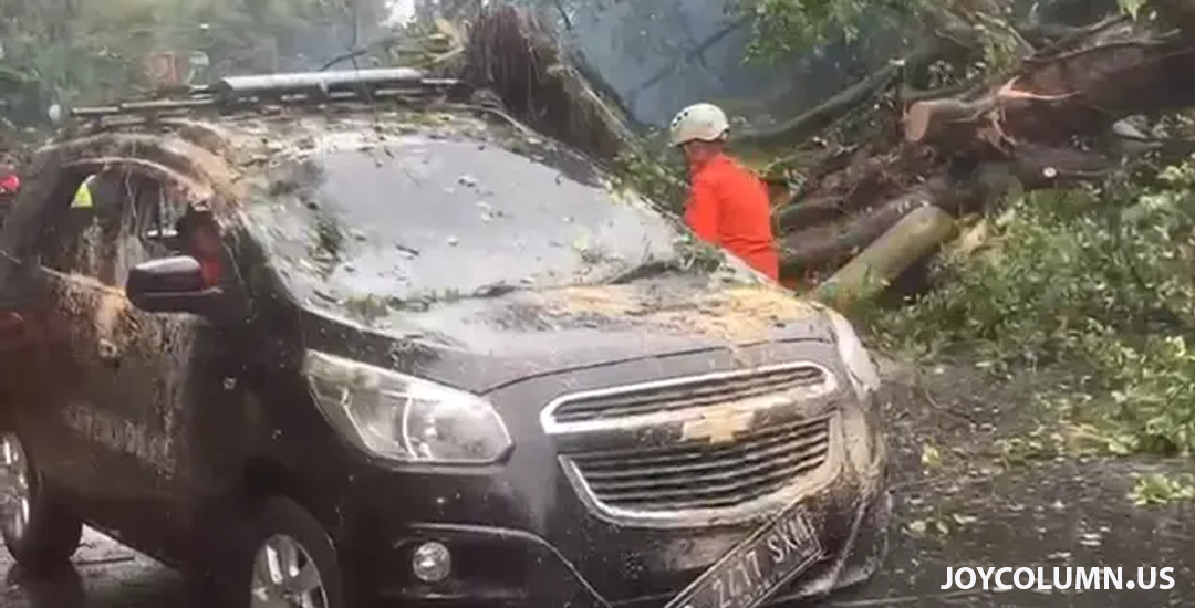 Peristiwa nahas Pohon Beringin Tumbang Timpa 3 Kendaraan