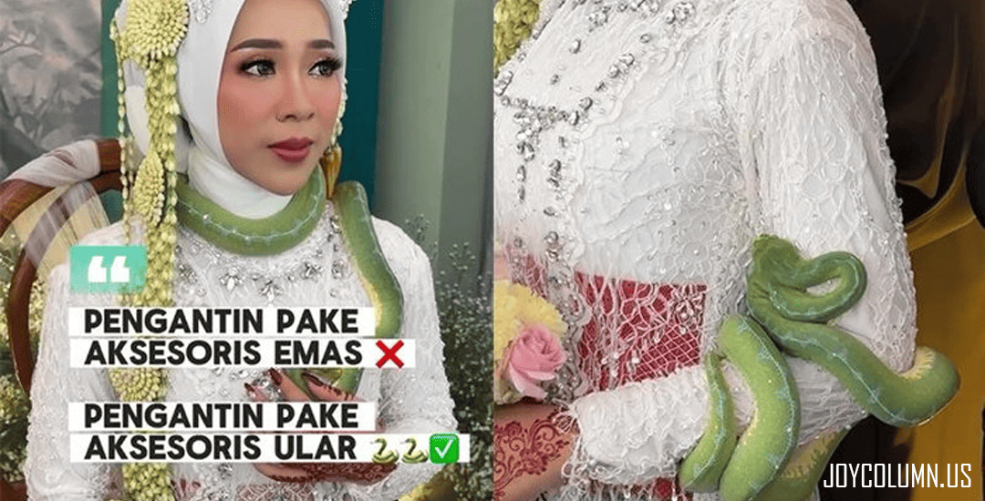 Viral Pengantin Pakai Kalung Ular saat Resepsi
