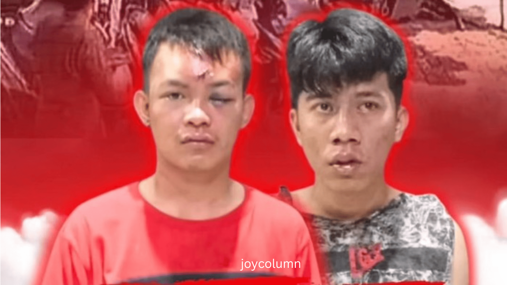 joycolumn